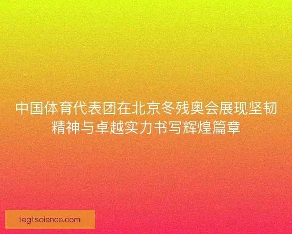 中国体育代表团在北京冬残奥会展现坚韧精神与卓越实力书写辉煌篇章