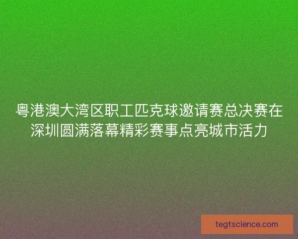 粤港澳大湾区职工匹克球邀请赛总决赛在深圳圆满落幕精彩赛事点亮城市活力
