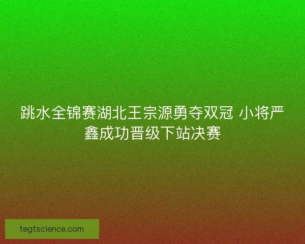 跳水全锦赛湖北王宗源勇夺双冠 小将严鑫成功晋级下站决赛