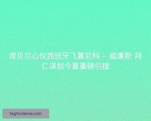 埃贝尔心仪西班牙飞翼尼科 - 威廉斯 拜仁谋划今夏重磅引援
