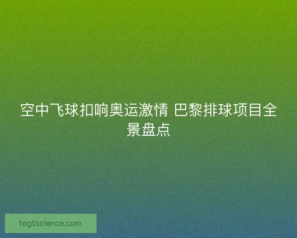 空中飞球扣响奥运激情 巴黎排球项目全景盘点