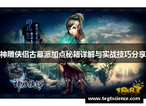 神雕侠侣古墓派加点秘籍详解与实战技巧分享