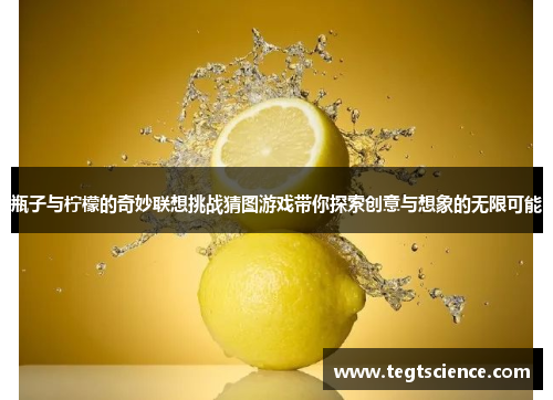 瓶子与柠檬的奇妙联想挑战猜图游戏带你探索创意与想象的无限可能